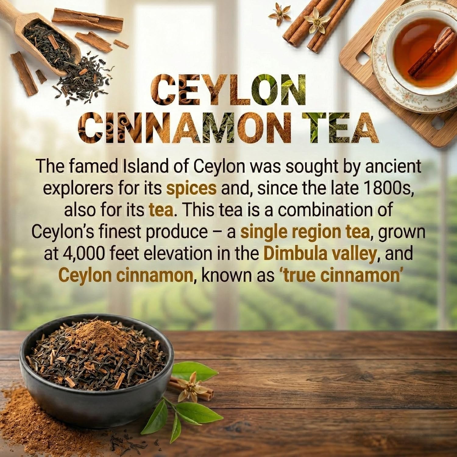 Dilmah T-Series Ceylon Cinnamon Spice Black Tea – 20 Luxury Leaf Tea Bags | Premium Single Origin Ceylon Tea with Authentic Cinnamon Spice